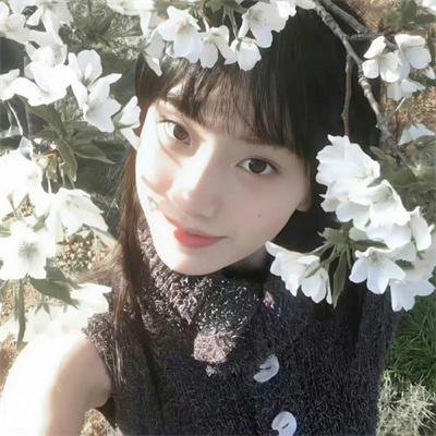 与森林共舞